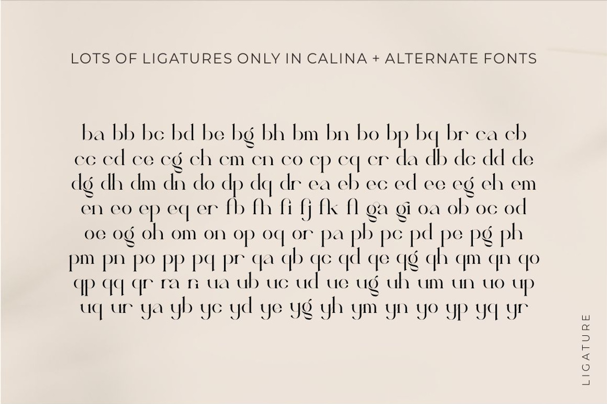 Calina serif classy font, a Serif Font by suhadidesign (Photo 16 of 18)