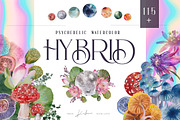 Whole Shop Huge BUNDLE - 44 in 1, an Object Illustration by Kaleriia (Thumbnail 9 of 42)