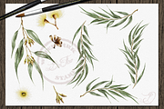 Willow Eucalyptus Illustration, a Decorative Illustration by DioFlow (Thumbnail 5 of 5)