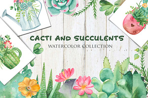 Succulents And Cacti. Watercolor.