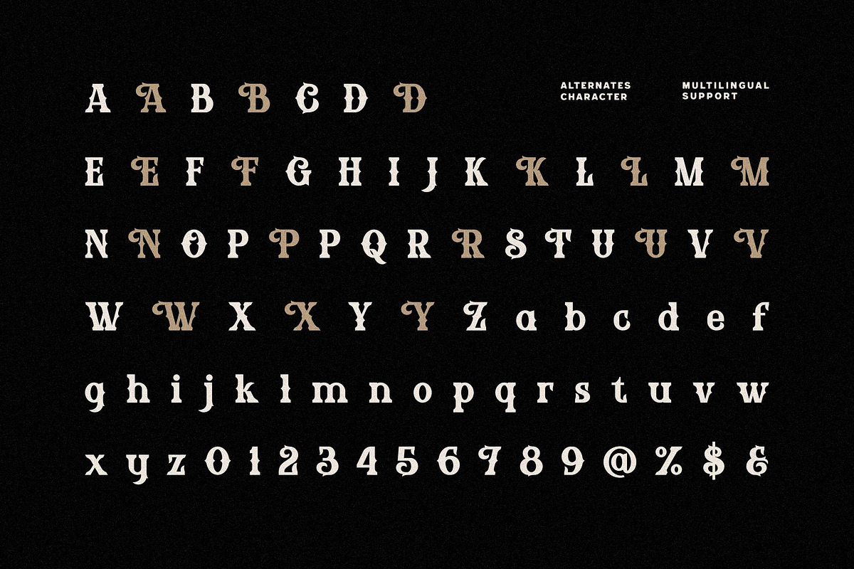 Diomag - Vintage Display Font, a Serif Font by Fype Co. (Photo 6 of 6)