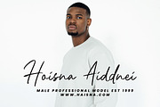 Riccardy Signature Font, a Handwritten Font by Art StoreID (Thumbnail 15 of 15)