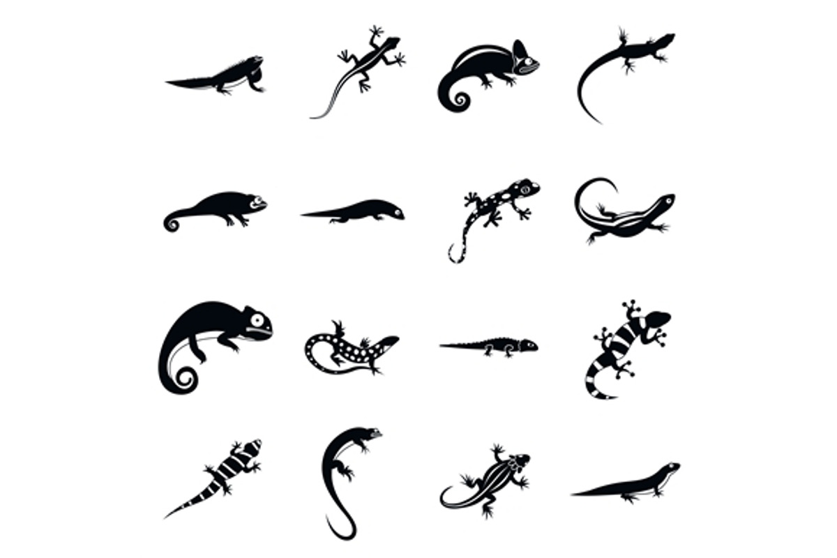 Lizard icons set, simple style, an Outline Icon by Ylivdesign