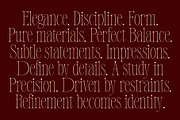 Poltra - Ligature Serif Font, a Serif Font by The Native Saint Club (Thumbnail 9 of 16)