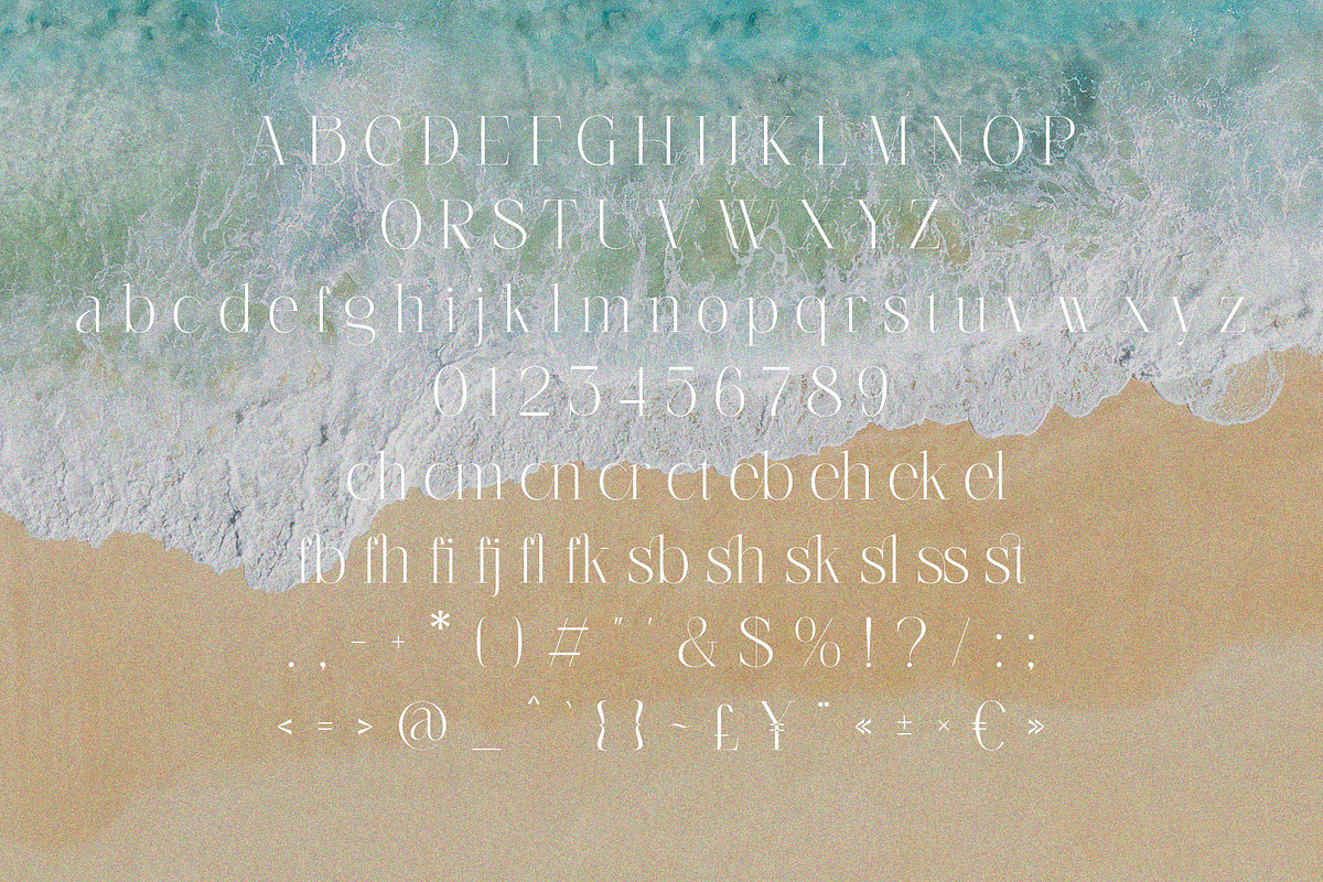 Musthard - Stylish Classic Serif, a Serif Font by Jimoji (Photo 11 of 11)