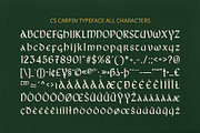 CS Carpin – Uncial Font, a Serif Font by Craft Supply Co. (Thumbnail 8 of 8)