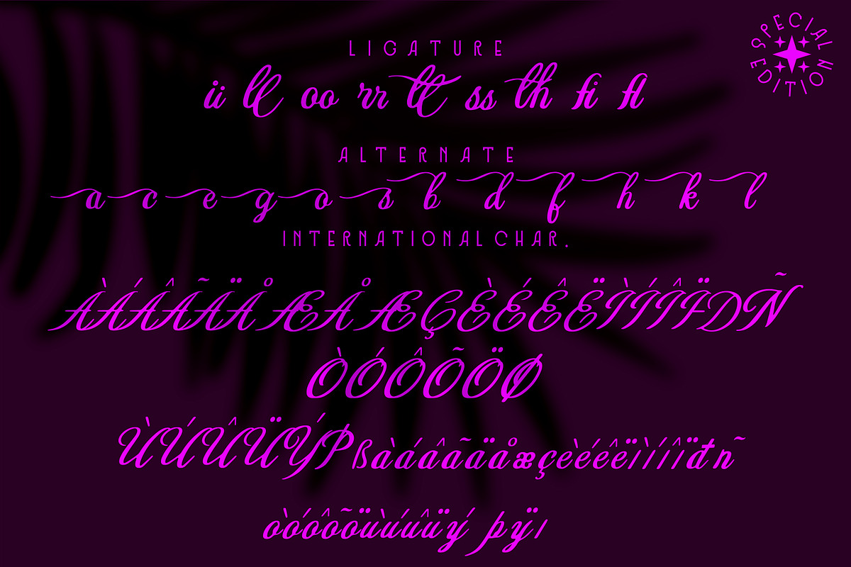 Anastasya vella - Script style font, a Script Font by mahstudios (Photo 4 of 8)