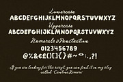 Pizza Club Font Family, a Handwritten Font by Nicky Laatz (Thumbnail 10 of 11)