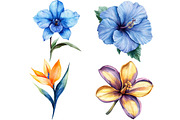Tropical Watercolor Flower Bundle, an Illustration by Pixels.Craft (Thumbnail 8 of 8)