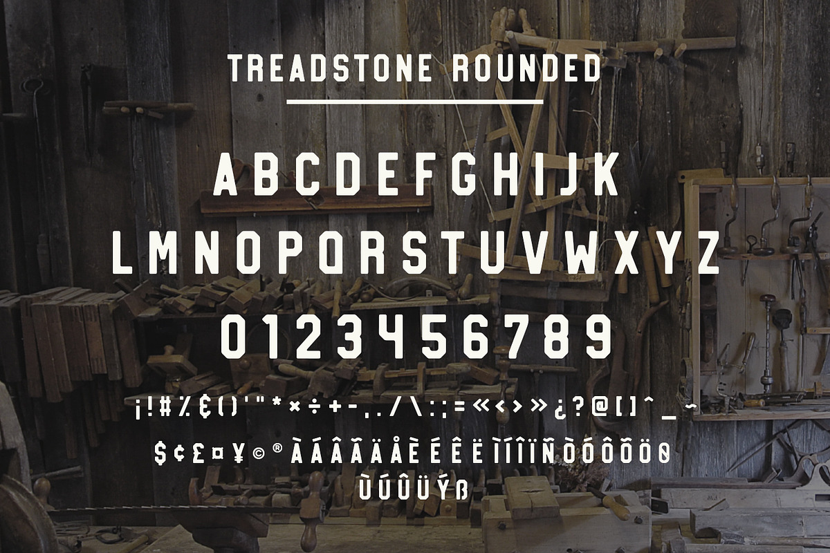 Treadstone - 8 Font Family, a Slab Serif Font by Greg Nicholls (Photo 15 of 16)