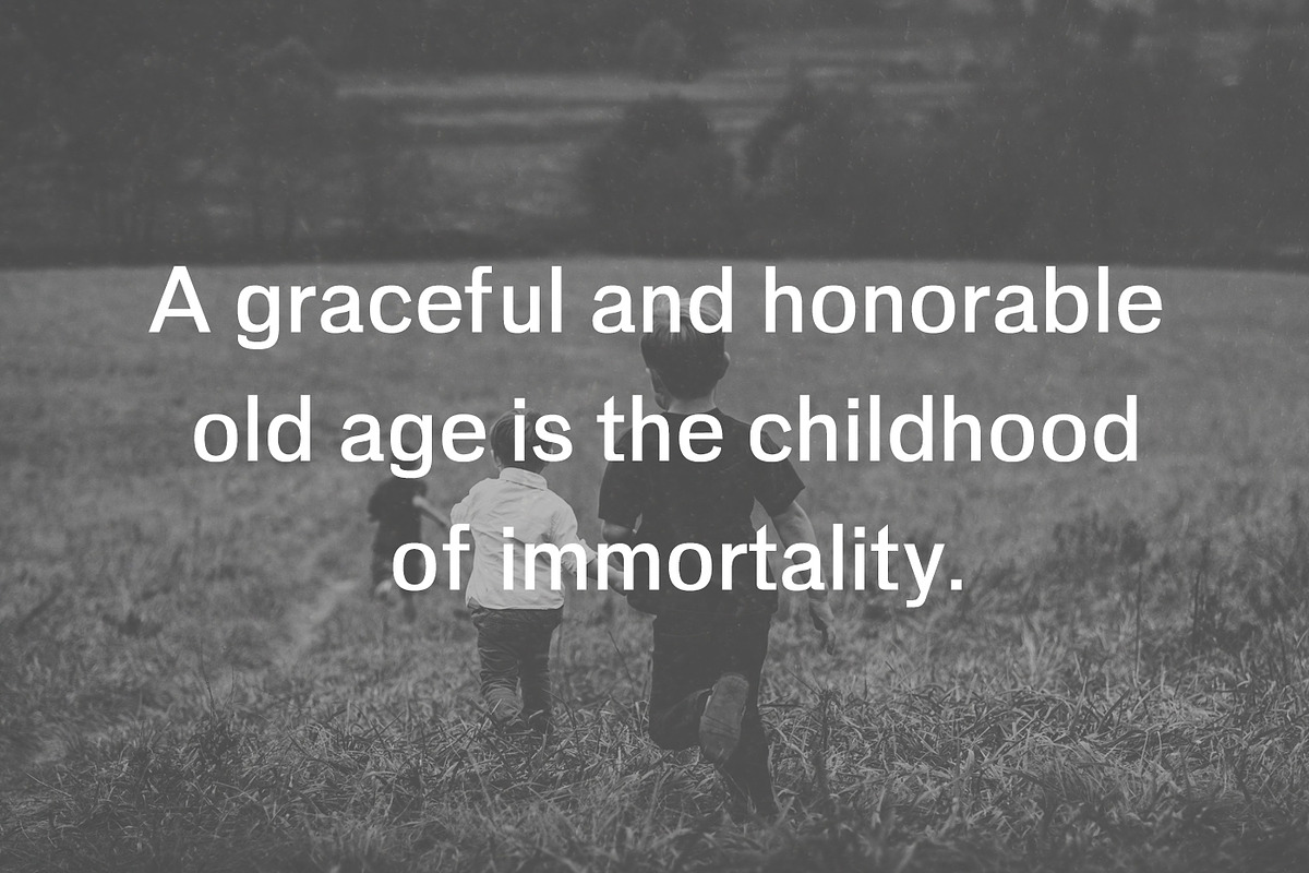 Adley Sans Serif 3 Font Family Pack preview 4