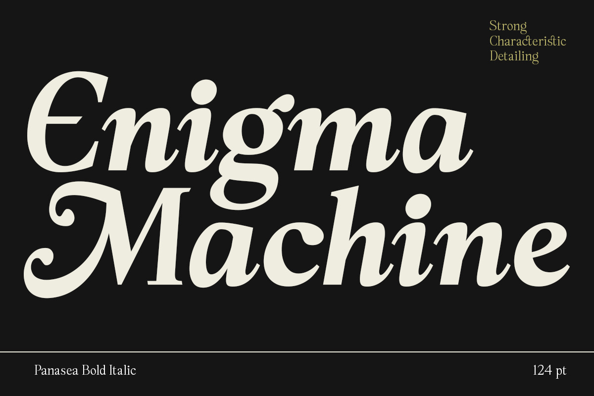 Panasea | 12 Fonts, a Serif Font by Skinny Type (Photo 7 of 15)
