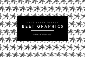 Hand Drawn Vector Beet Graphics