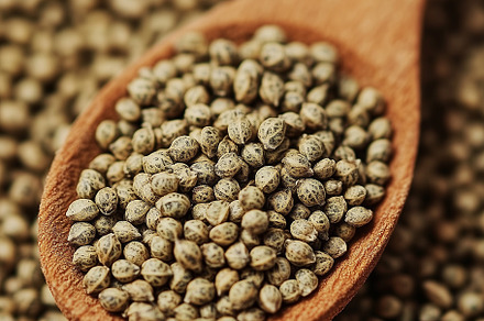 Close up on hemp seeds on a spoon, a Food & Drink Photo by MistyDay