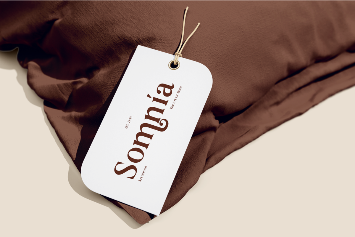 Aurine Modern Display Serif Font, a Serif Font by Rasio Studio (Photo 7 of 8)