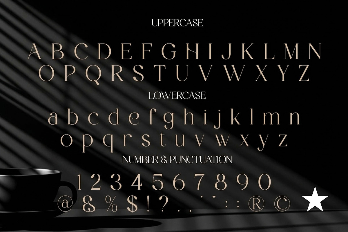 Luxury Aesthetic Branding Claverin, a Serif Font by Design House (Photo 2 of 3)