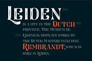 Larson Display, a Font by nurrontype (Thumbnail 3 of 11)