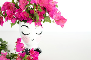 Bougainvillea stock photo 003 stock photo containing styled stock and styled
