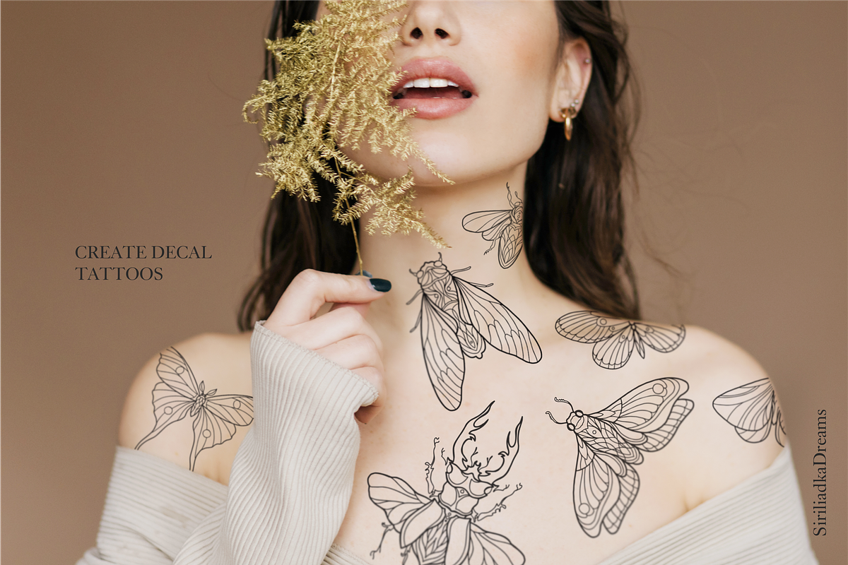 Insects Clipart - Black Line, PNG, an Illustration by Siriliadka Dreams (Photo 5 of 9)
