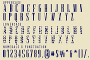 Technology Showcasing Font, a Serif Font by 177Studio (Thumbnail 8 of 8)