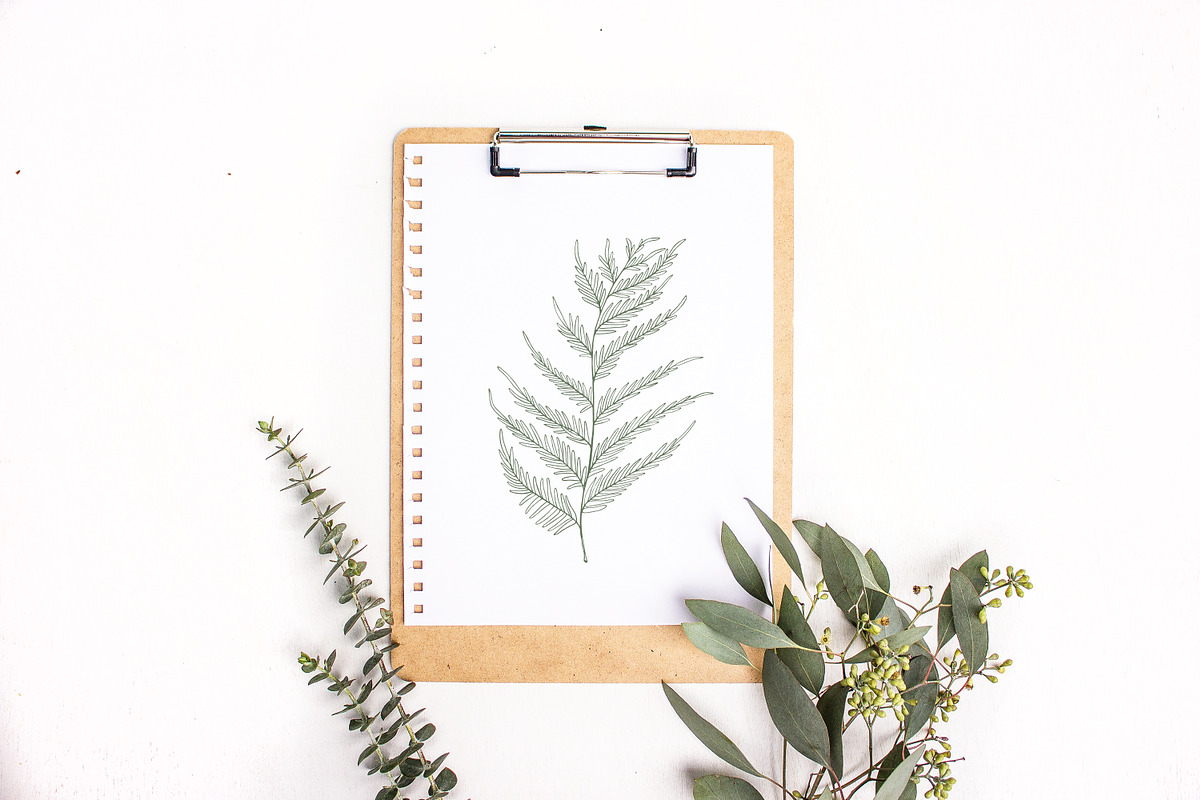 Hand drawn flowers set and seamless, a Decorative Illustration by Good Studio (Photo 8 of 11)