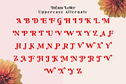 Dream Letter, Serif Font, a Serif Font by Motokiwo (Thumbnail 9 of 10)