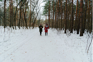 In a tranquil winter setting, two, a Nature Photo by darksoul72