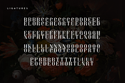 Sorcha Display font + Swashes, a Font by VP Fonts (Thumbnail 10 of 14)