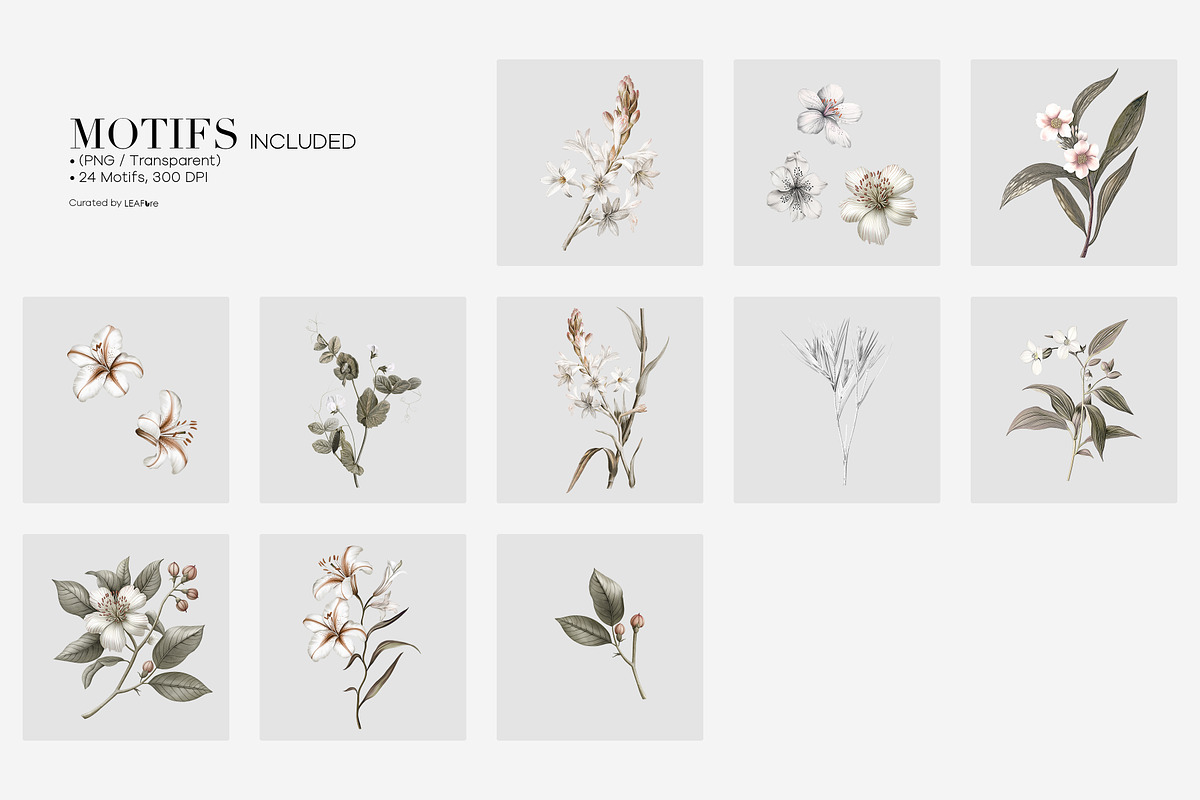 Botania | Botanical Floral Patterns, a Pattern Graphic by LEAFure (Photo 4 of 10)