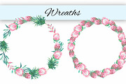 King protea. Watercolor clip art., an Illustration by Anyuka (Thumbnail 4 of 4)