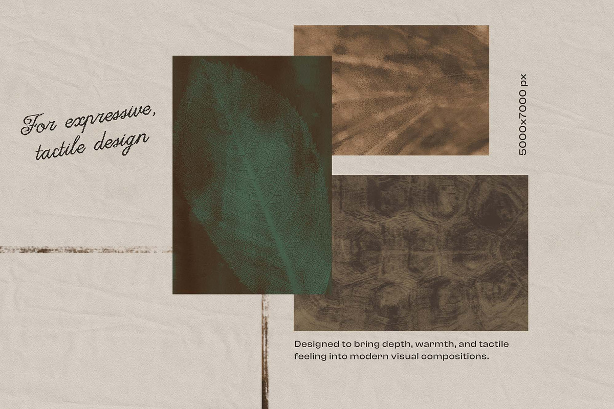Earthy Vibrancy Textured Backgrounds, a Background Graphic by DigARTbyHavroshka (Photo 3 of 12)