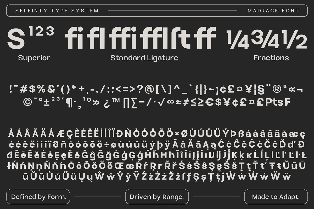 Selfinty Sans - 90 fonts + variable., a Sans Serif Font by Madjack.font (Photo 15 of 15)