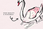 Hand Drawn Swan Illustrations, an Animal Illustration by The October Creative (Thumbnail 3 of 4)