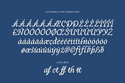 Rosheya, a Script Font by rudiSasori (Thumbnail 13 of 13)