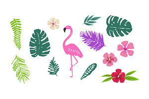 Tropical Vector Pattern