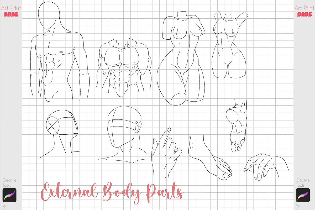 Procreate Anime Pose Body Anatomy, a Brush Add-On by ArtPrintBabe (Photo 7 of 10)