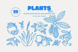 Plants