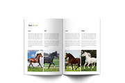 Horse Riding A4 Brochure, a Brochure Template by Incools Stokie (Thumbnail 7 of 13)