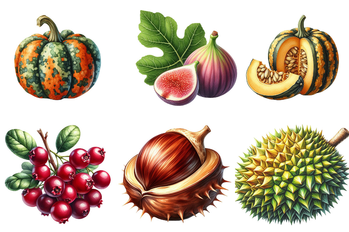 Watercolor Autumn Fruits Clipart, an Illustration by Watercolor design (Photo 3 of 4)