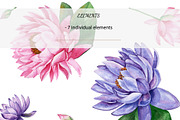 Watercolor Water Lily, an Object Graphic by YuMyart (Thumbnail 4 of 5)