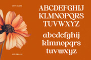 Hot Caramel Bold Serif Display, a Serif Font by timelesstype.co (Thumbnail 17 of 20)