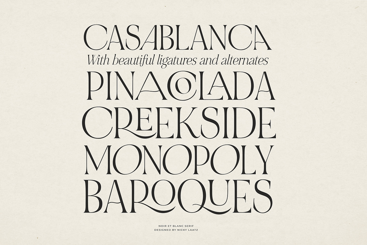 NOIR et BLANC Stylish Serif, a Serif Font by Nicky Laatz (Photo 19 of 41)