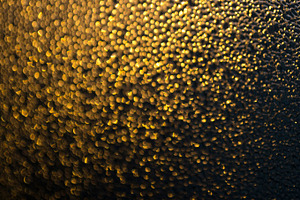 Gold bokeh