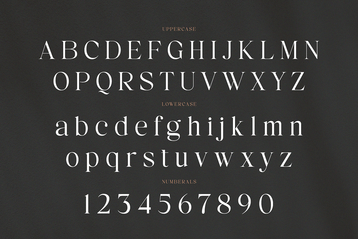 Reign – Display Serif Font, a Font by Almeera Std (Photo 6 of 8)