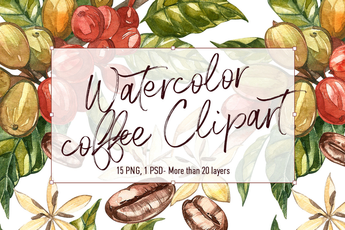 Coffee in botanical style, a Food Illustration by Ann Astro (Photo 1 of 9)