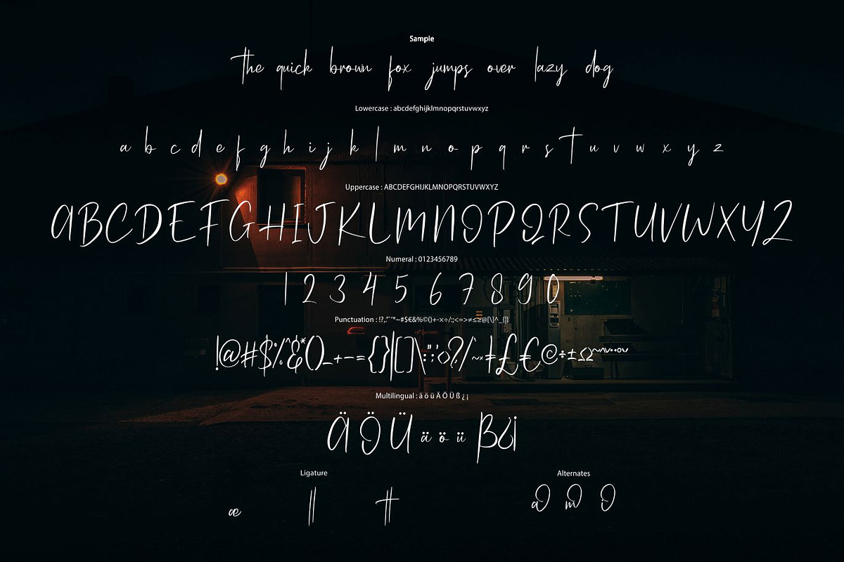 Photomatica - Modern Script, a Script Font by VUNIRA (Photo 3 of 6)