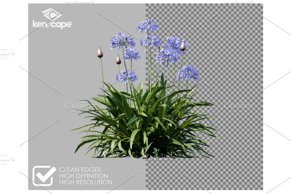 60 Assorted Plants Photo Overlays, a Nature Photo by KenScape (Photo 2 of 3)