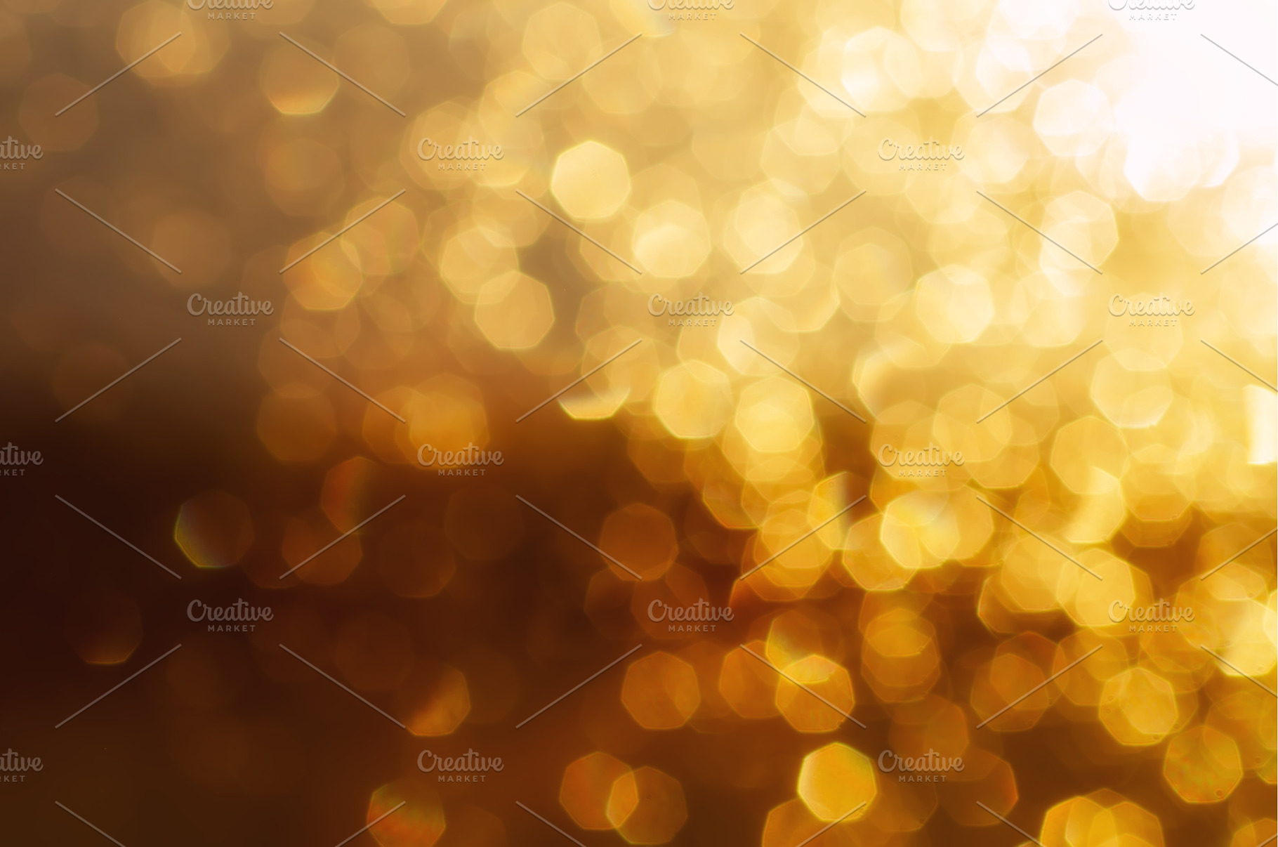 Natural autumn bokeh, a Nature Photo by Nature and travel