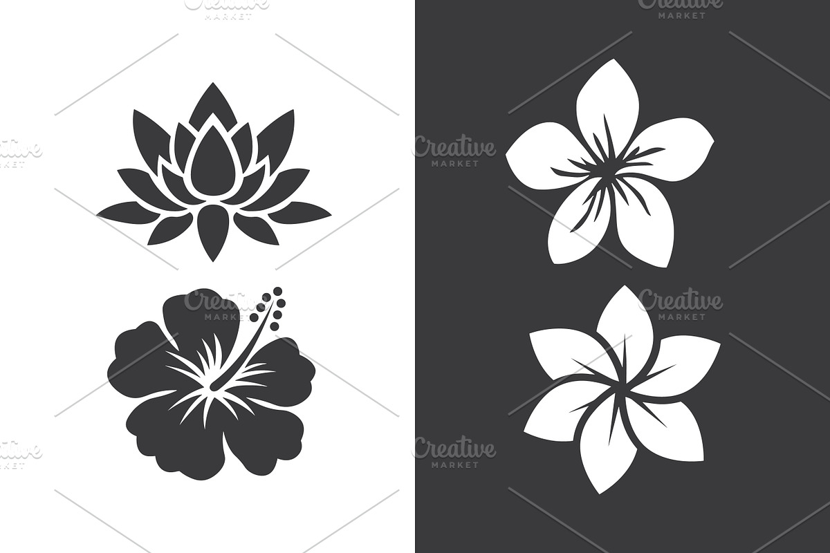 Black and white flower illustration, an Illustration by Toufiqul