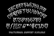 Teenage Riot, a Blackletter Font by TeenageFoundry (Thumbnail 8 of 10)
